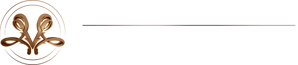 VIP Chauffeur Car Hire